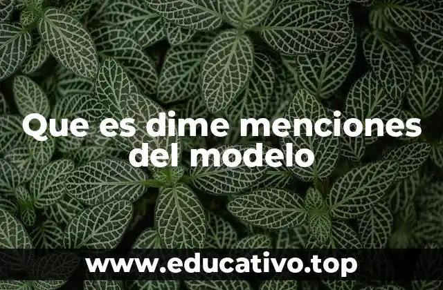Que es dime menciones del modelo