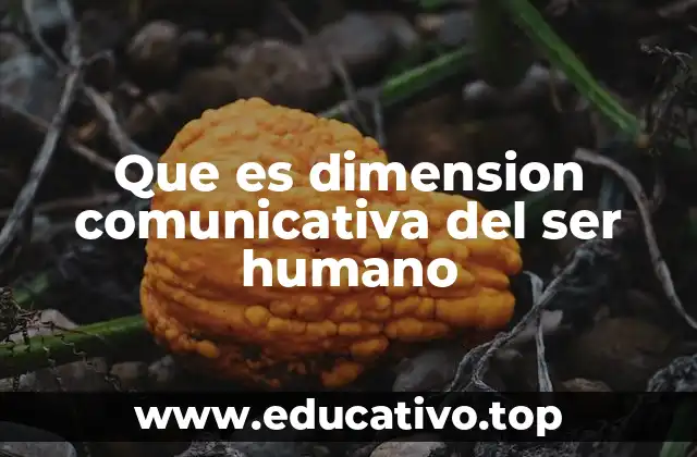 Que es dimension comunicativa del ser humano