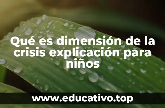 Qué es dimensión de la crisis explicación para niños