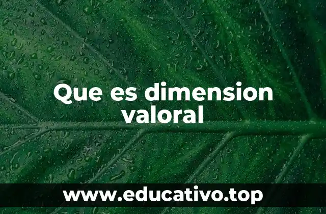 Que es dimension valoral
