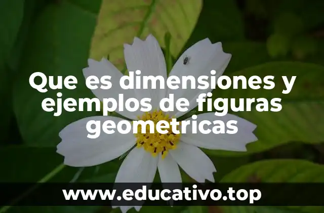 Que es dimensiones y ejemplos de figuras geometricas