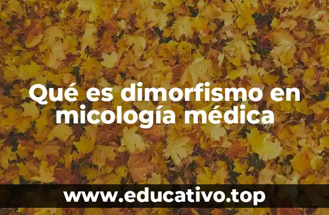 Qué es dimorfismo en micología médica
