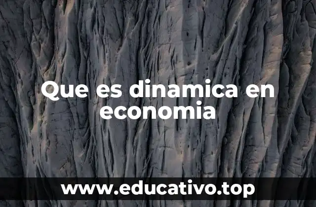 Que es dinamica en economia