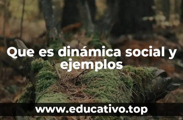 Que es dinámica social y ejemplos
