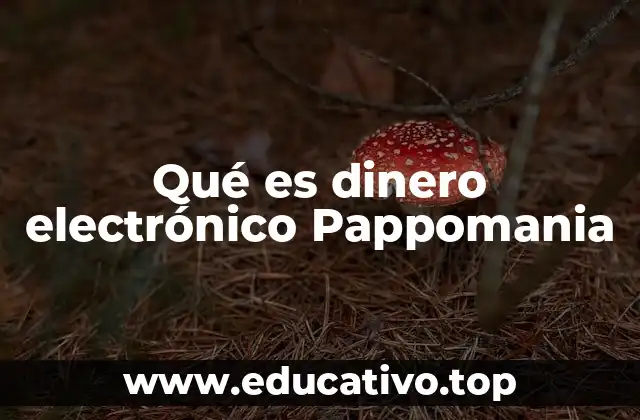 Qué es dinero electrónico Pappomania
