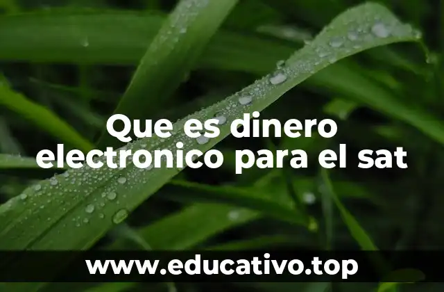 Que es dinero electronico para el sat