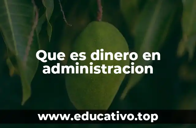 Que es dinero en administracion