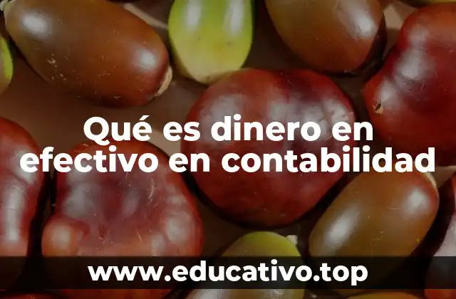 Qué es dinero en efectivo en contabilidad