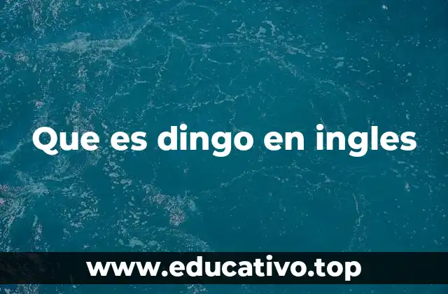 Que es dingo en ingles