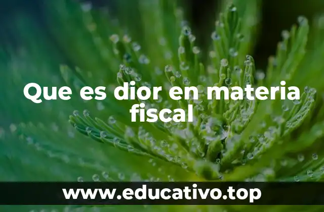 Que es dior en materia fiscal