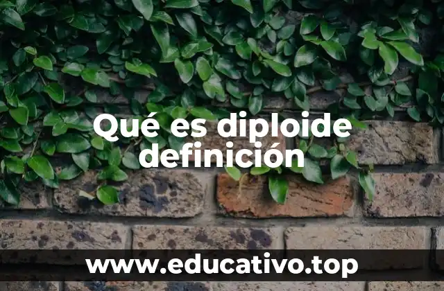 Qué es diploide definición