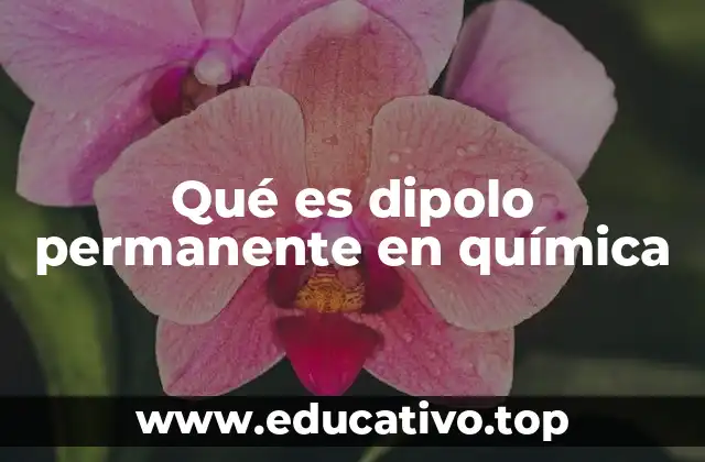 Qué es dipolo permanente en química