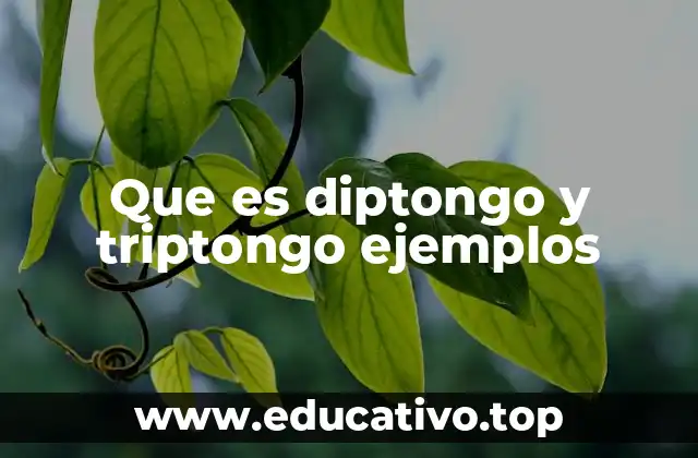 Que es diptongo y triptongo ejemplos