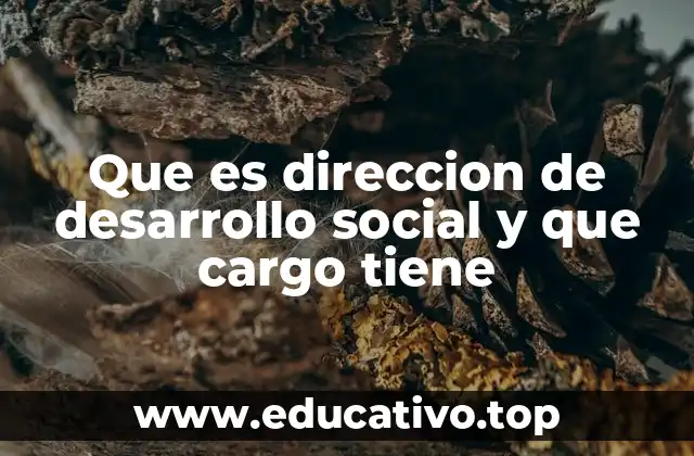 Que es direccion de desarrollo social y que cargo tiene