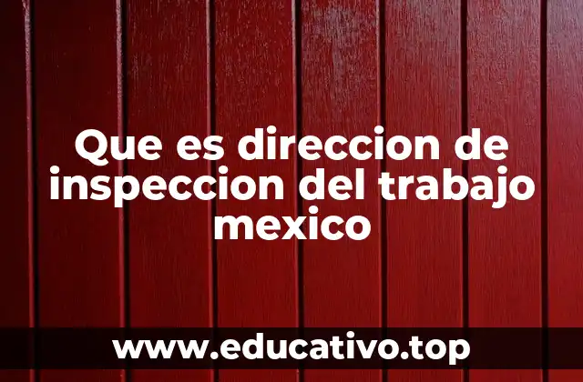 Que es direccion de inspeccion del trabajo mexico