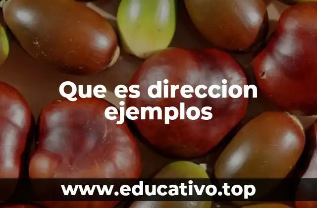 Que es direccion ejemplos