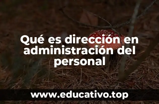 La importancia de guiar al equipo humano para alcanzar metas organizacionales