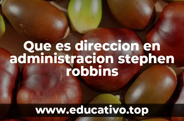 Que es direccion en administracion stephen robbins