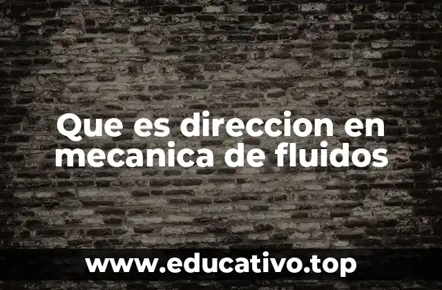 Que es direccion en mecanica de fluidos