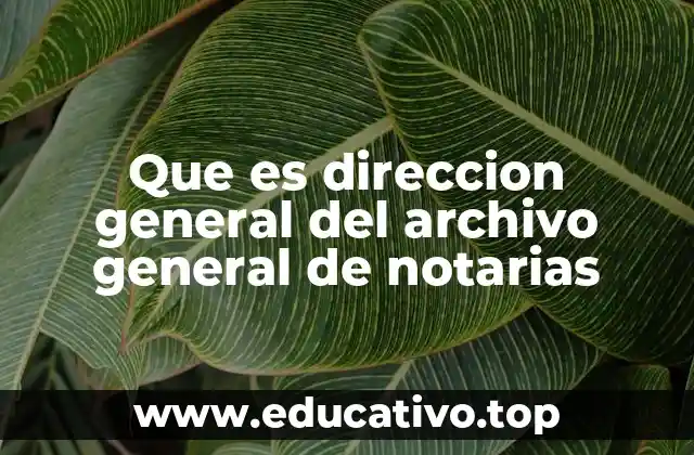 El papel del Archivo General de Notarías en la historia mexicana