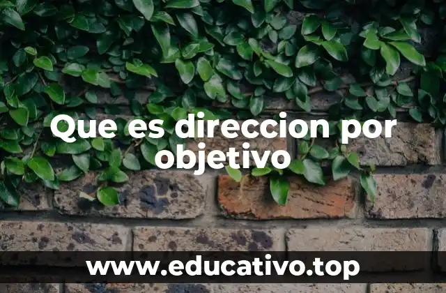 Que es direccion por objetivo