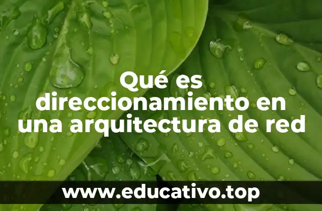 Qué es direccionamiento en una arquitectura de red