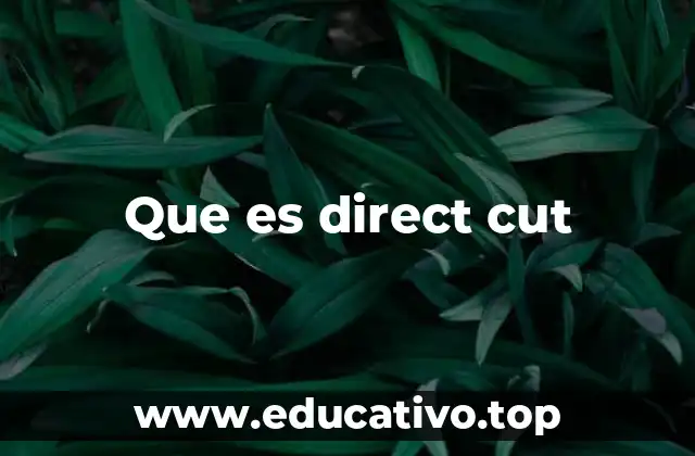 Que es direct cut