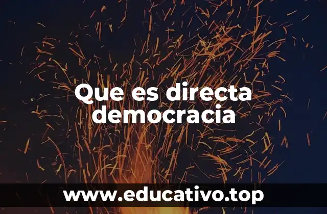 Que es directa democracia