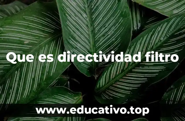 Que es directividad filtro