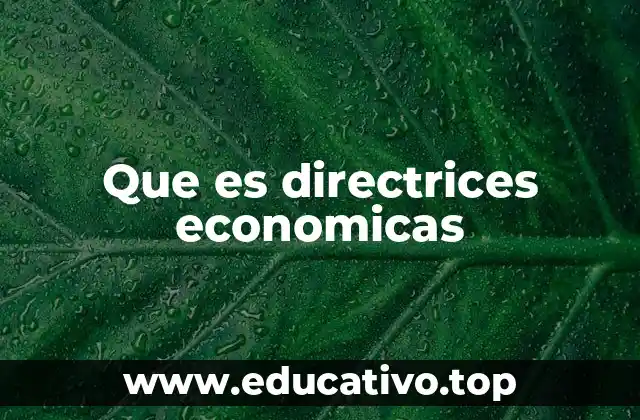 Que es directrices economicas