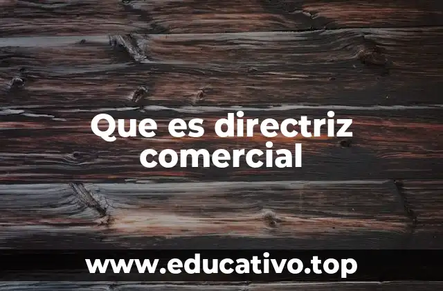 Que es directriz comercial