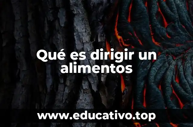 Qué es dirigir un alimentos