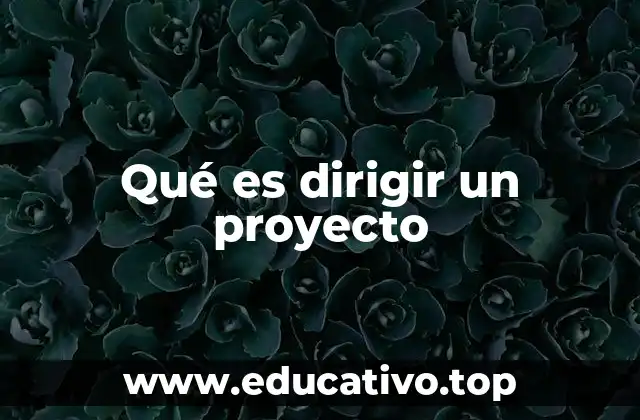 Qué es dirigir un proyecto