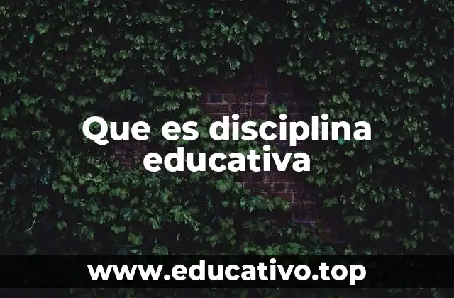 Que es disciplina educativa