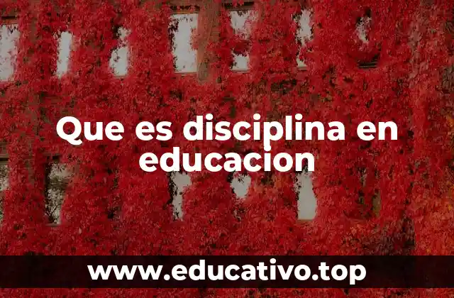 Que es disciplina en educacion