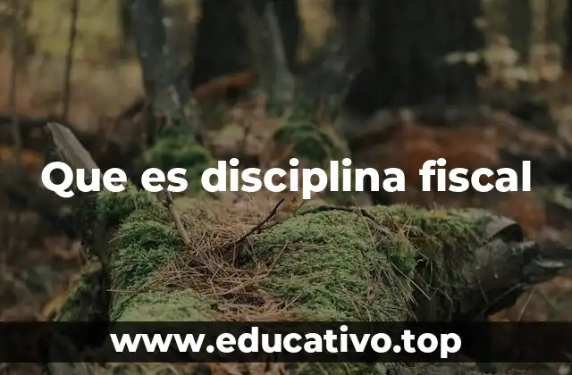 Que es disciplina fiscal