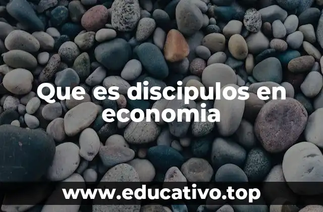 Que es discipulos en economia