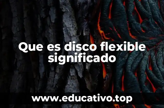 Que es disco flexible significado