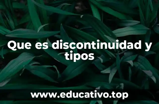 Que es discontinuidad y tipos