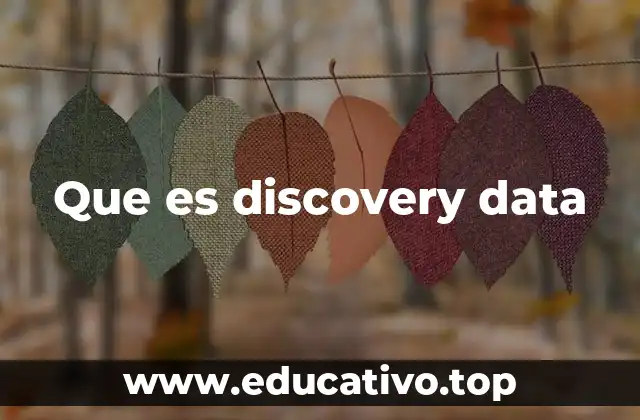 Que es discovery data