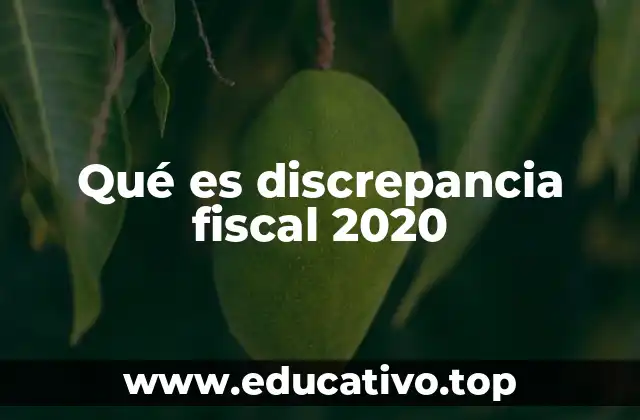 Qué es discrepancia fiscal 2020