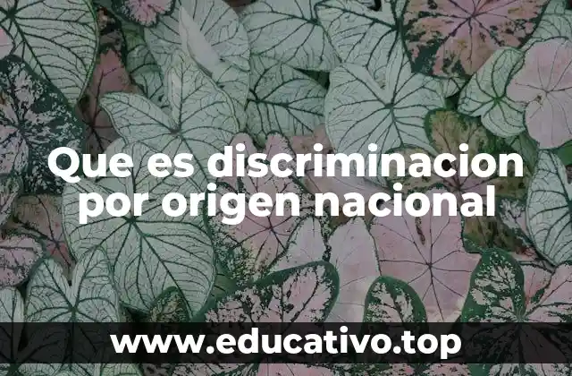 Que es discriminacion por origen nacional