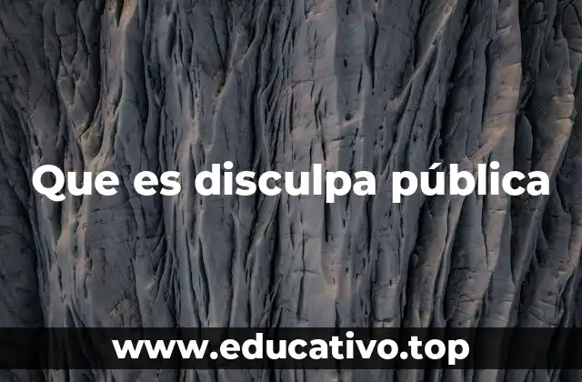 Que es disculpa pública