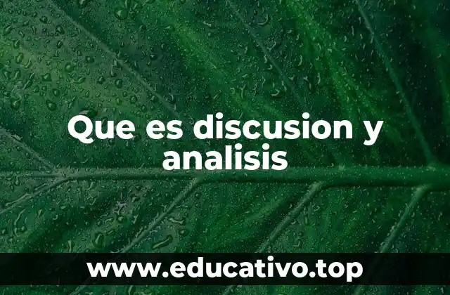 Que es discusion y analisis