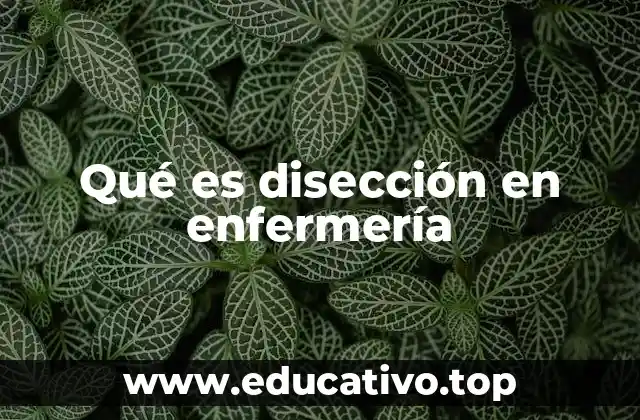 Qué es disección en enfermería