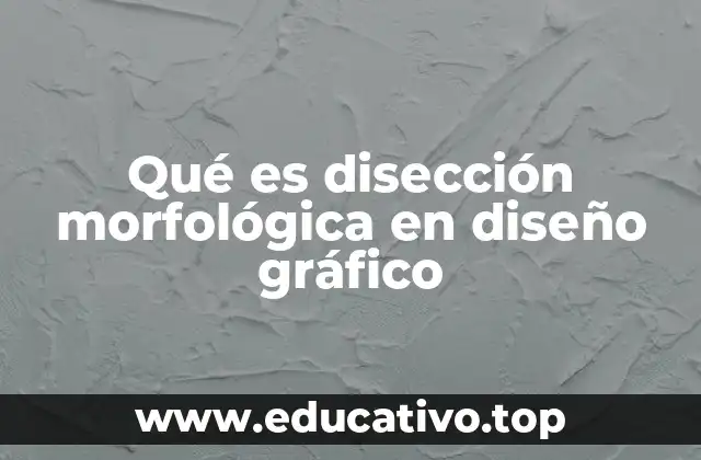 Qué es disección morfológica en diseño gráfico