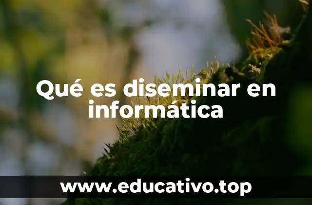 Qué es diseminar en informática