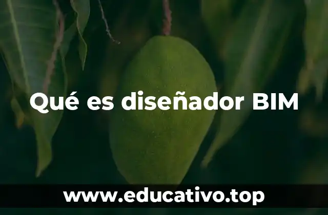 Qué es diseñador BIM