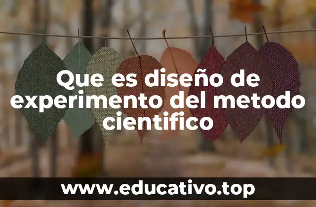 Que es diseño de experimento del metodo cientifico