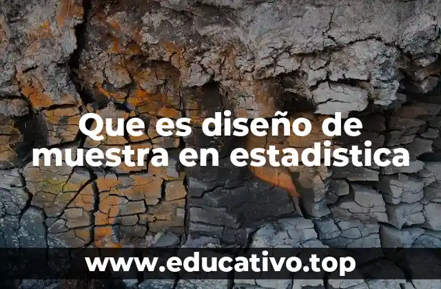 Que es diseño de muestra en estadistica